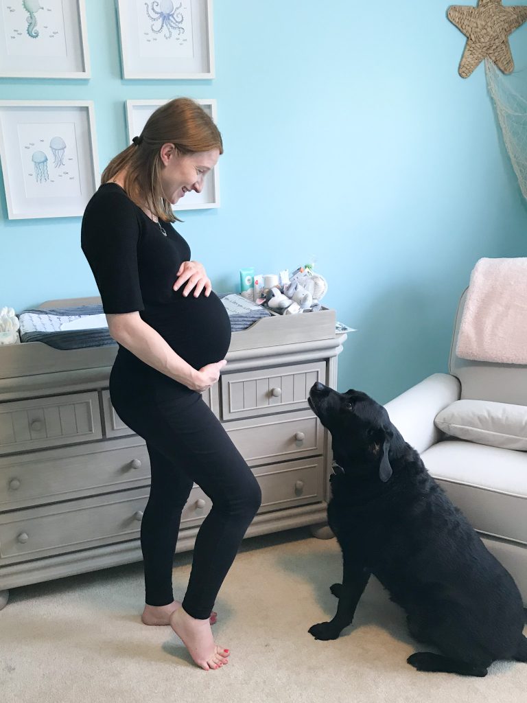 Gumbo (dog) spent many days alongside me as I was practicing my hypnobirthing techniques